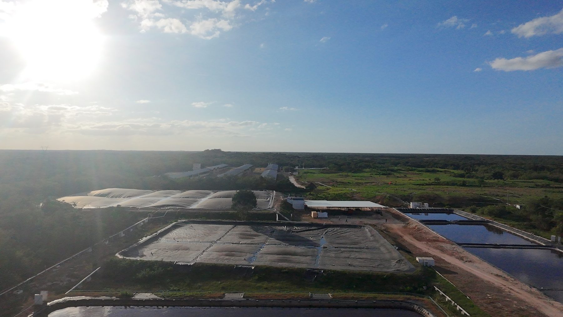Panorámica aérea del conjunto de digestores.