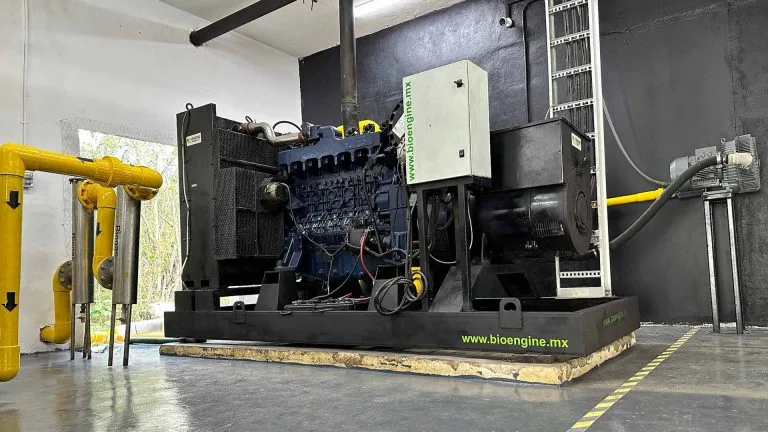 Grupo electrógeno Bioengine